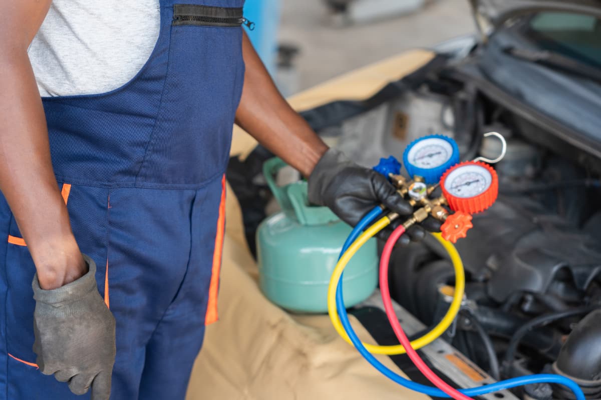 Avada Car Dealer News